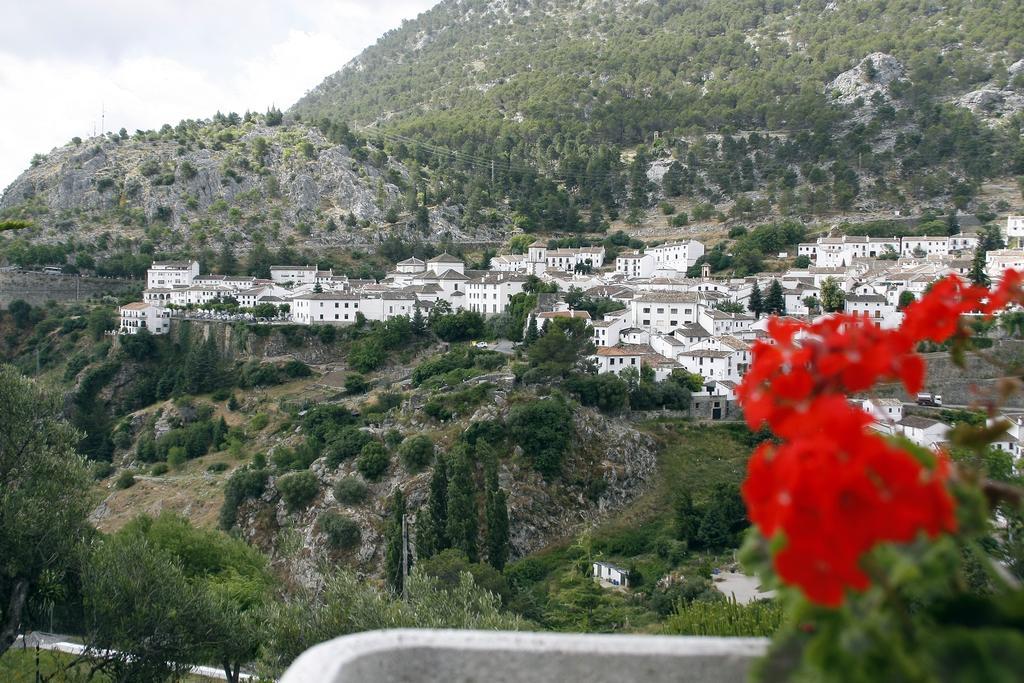 Villa Turistica De Grazalema Oda fotoğraf